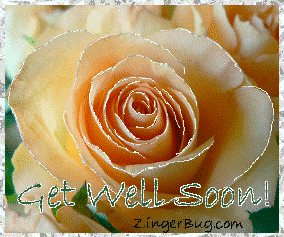 get_well_soon_peach_rose.gif