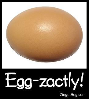 http://www.comments.zingerbugimages.com/glitter_graphics/egg_zactly.JPG