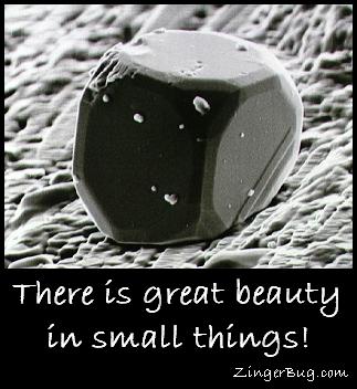 great_beauty_in_small_things.JPG
