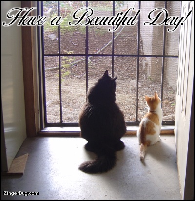 have_a_beautiful_day_cats_in_doorway.jpg