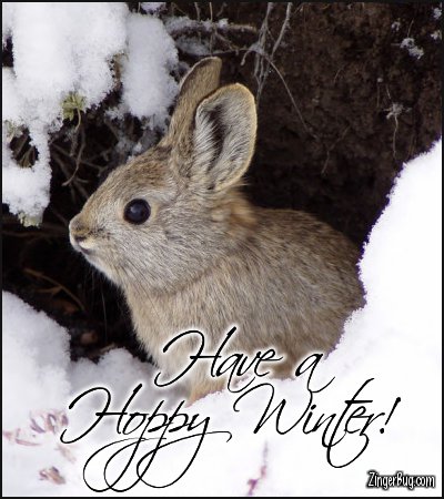 have_a_hoppy_winter_snow_bunny_photo.jpg