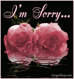       im_sorry_pink_roses_