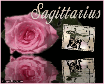 sagittarius_pink_rose.gif