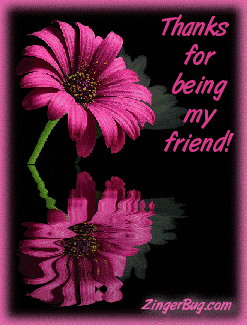 thanks_friend_reflecting_flower.gif